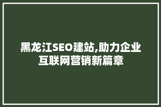 黑龙江SEO建站,助力企业互联网营销新篇章