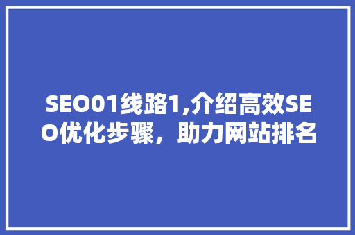 SEO01线路1,介绍高效SEO优化步骤，助力网站排名提升