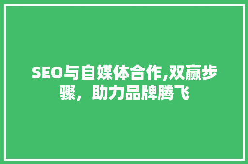 SEO与自媒体合作,双赢步骤，助力品牌腾飞