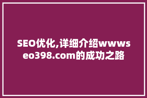 SEO优化,详细介绍wwwseo398.com的成功之路