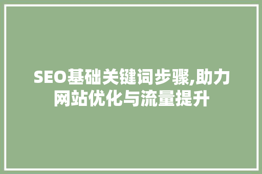 SEO基础关键词步骤,助力网站优化与流量提升