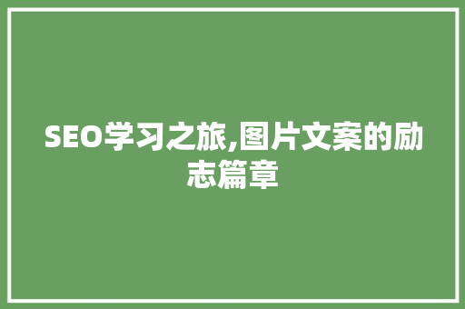 SEO学习之旅,图片文案的励志篇章