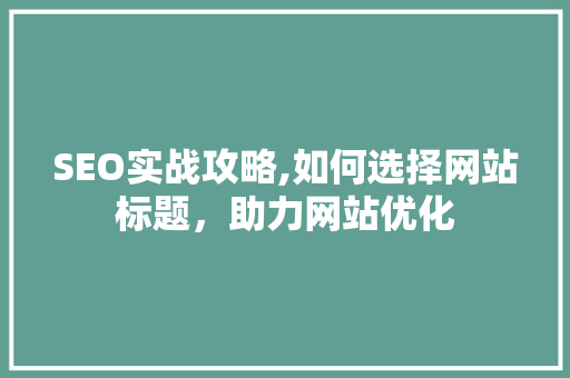 SEO实战攻略,如何选择网站标题，助力网站优化