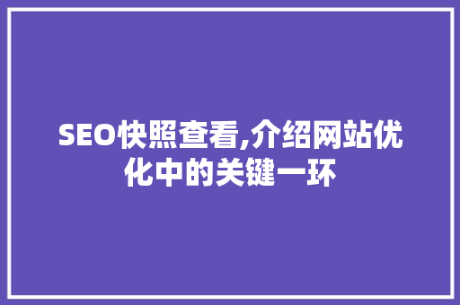 SEO快照查看,介绍网站优化中的关键一环