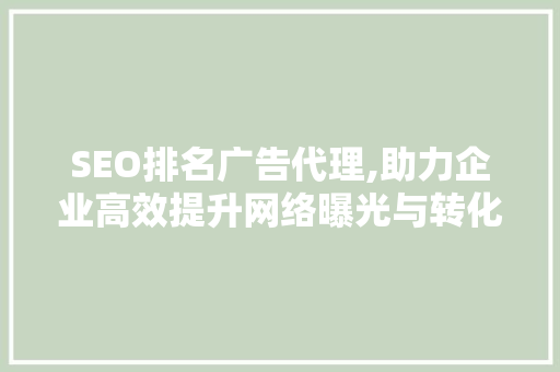 SEO排名广告代理,助力企业高效提升网络曝光与转化