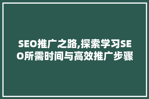 SEO推广之路,探索学习SEO所需时间与高效推广步骤