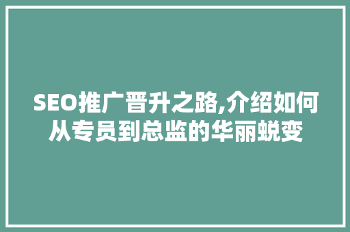 SEO推广晋升之路,介绍如何从专员到总监的华丽蜕变