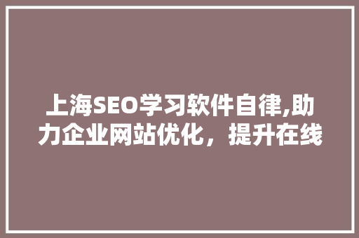 上海SEO学习软件自律,助力企业网站优化，提升在线竞争力