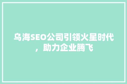 乌海SEO公司引领火星时代，助力企业腾飞