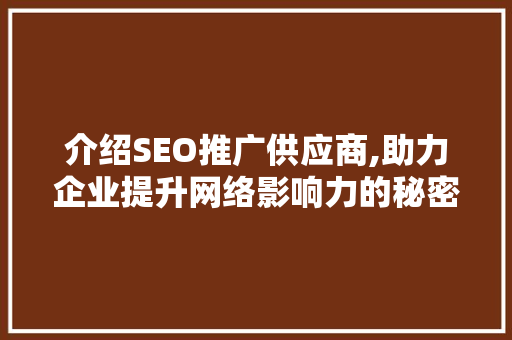 介绍SEO推广供应商,助力企业提升网络影响力的秘密武器