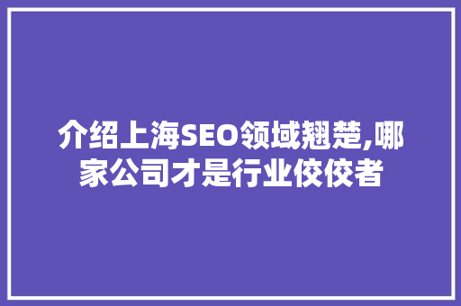 介绍上海SEO领域翘楚,哪家公司才是行业佼佼者