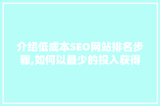 介绍低成本SEO网站排名步骤,如何以最少的投入获得最佳效果