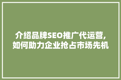 介绍品牌SEO推广代运营,如何助力企业抢占市场先机