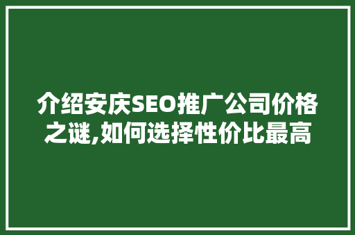 介绍安庆SEO推广公司价格之谜,如何选择性价比最高的服务
