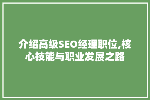 介绍高级SEO经理职位,核心技能与职业发展之路