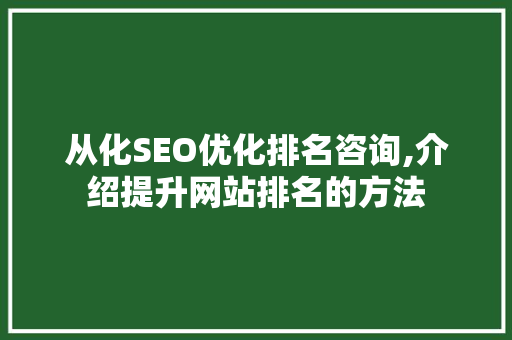 从化SEO优化排名咨询,介绍提升网站排名的方法