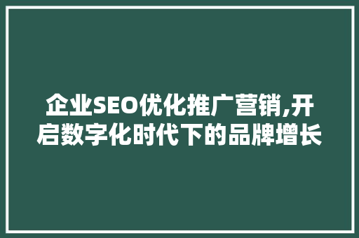 企业SEO优化推广营销,开启数字化时代下的品牌增长新引擎