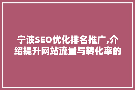 宁波SEO优化排名推广,介绍提升网站流量与转化率的方法