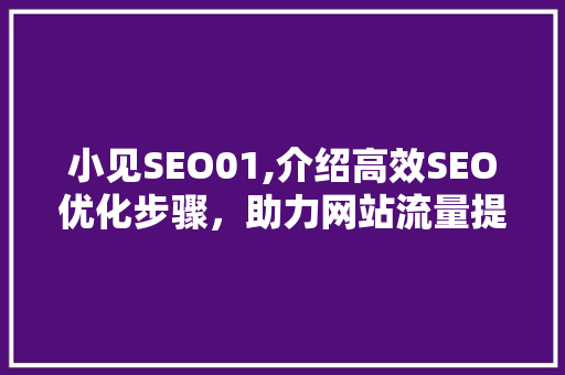 小见SEO01,介绍高效SEO优化步骤，助力网站流量提升