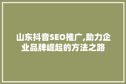 山东抖音SEO推广,助力企业品牌崛起的方法之路