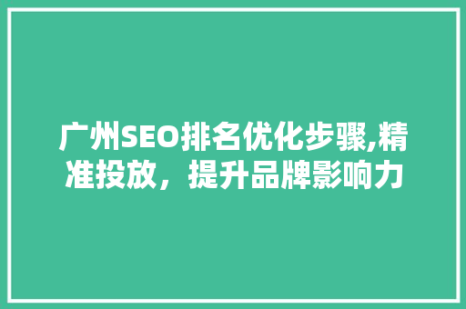 广州SEO排名优化步骤,精准投放，提升品牌影响力  第1张