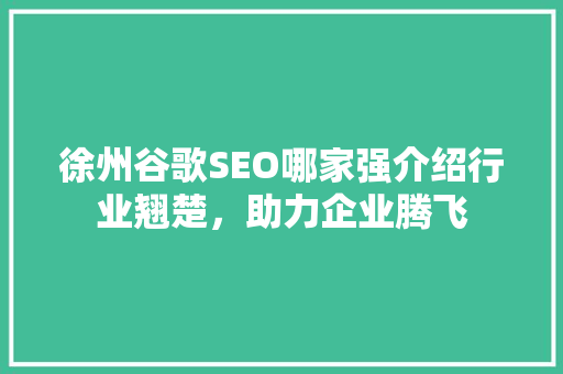 徐州谷歌SEO哪家强介绍行业翘楚，助力企业腾飞