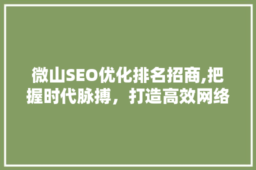 微山SEO优化排名招商,把握时代脉搏，打造高效网络营销步骤