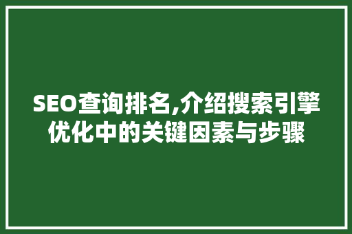 SEO查询排名,介绍搜索引擎优化中的关键因素与步骤