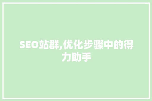 SEO站群,优化步骤中的得力助手