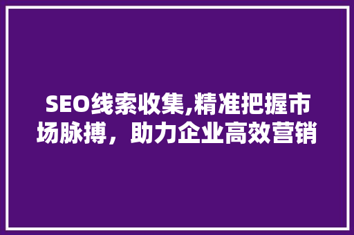 SEO线索收集,精准把握市场脉搏，助力企业高效营销