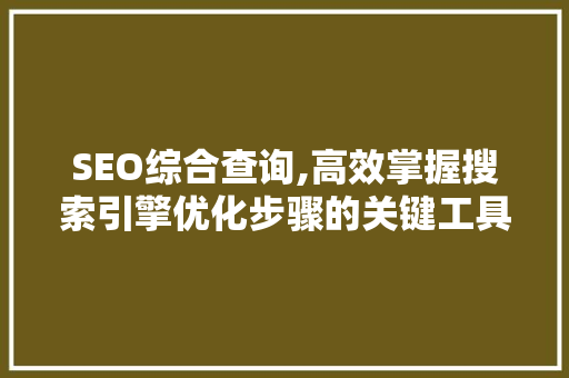 SEO综合查询,高效掌握搜索引擎优化步骤的关键工具