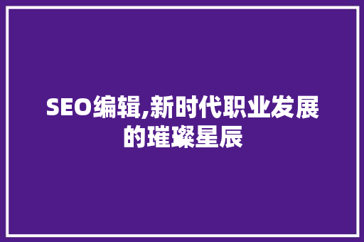 SEO编辑,新时代职业发展的璀璨星辰