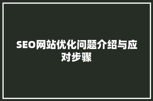 SEO网站优化问题介绍与应对步骤