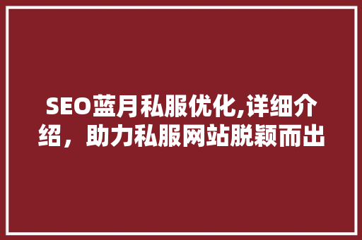 SEO蓝月私服优化,详细介绍，助力私服网站脱颖而出