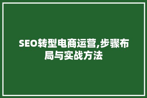 SEO转型电商运营,步骤布局与实战方法