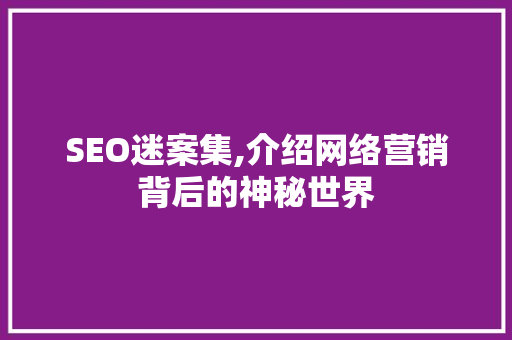 SEO迷案集,介绍网络营销背后的神秘世界