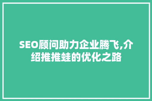 SEO顾问助力企业腾飞,介绍推推蛙的优化之路