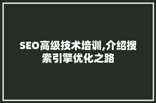 SEO高级技术培训,介绍搜索引擎优化之路