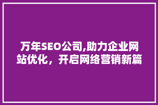 万年SEO公司,助力企业网站优化，开启网络营销新篇章
