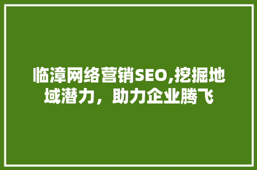 临漳网络营销SEO,挖掘地域潜力，助力企业腾飞