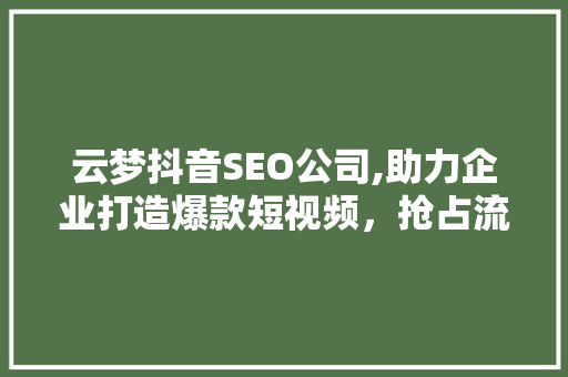 云梦抖音SEO公司,助力企业打造爆款短视频，抢占流量高地