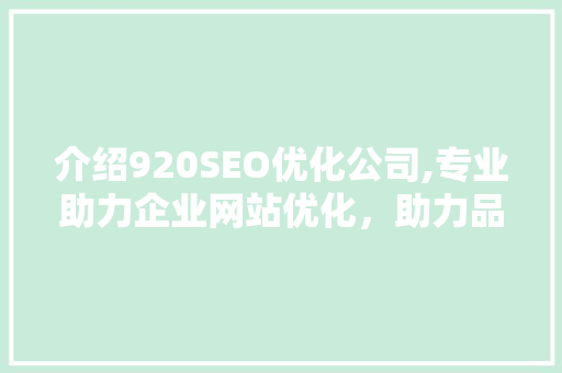 介绍920SEO优化公司,专业助力企业网站优化，助力品牌腾飞