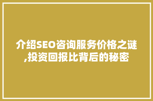 介绍SEO咨询服务价格之谜,投资回报比背后的秘密