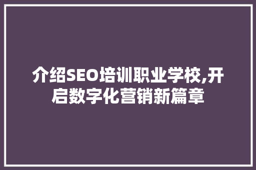 介绍SEO培训职业学校,开启数字化营销新篇章