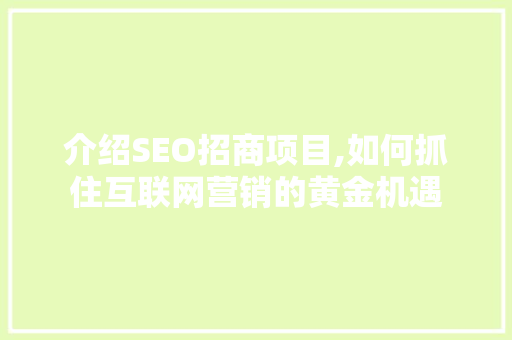 介绍SEO招商项目,如何抓住互联网营销的黄金机遇