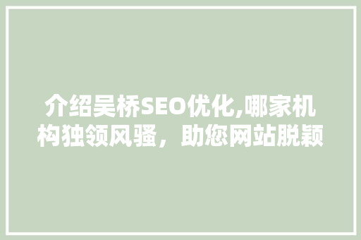 介绍吴桥SEO优化,哪家机构独领风骚，助您网站脱颖而出