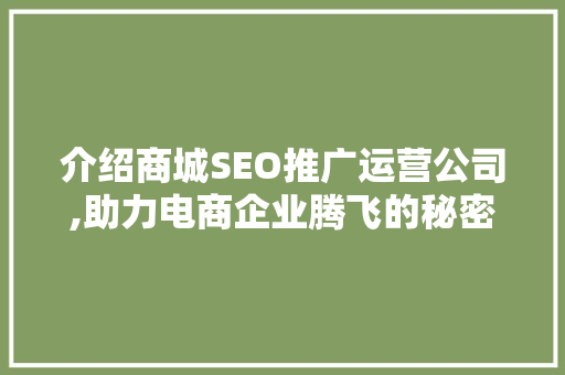 介绍商城SEO推广运营公司,助力电商企业腾飞的秘密武器