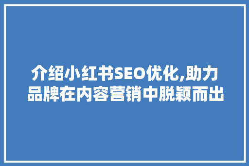 介绍小红书SEO优化,助力品牌在内容营销中脱颖而出