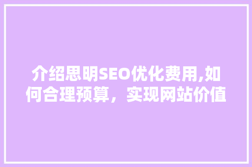 介绍思明SEO优化费用,如何合理预算，实现网站价值最大化