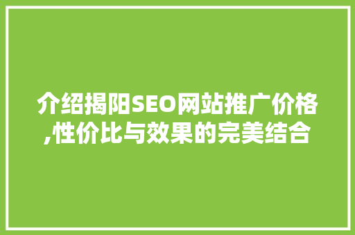 介绍揭阳SEO网站推广价格,性价比与效果的完美结合